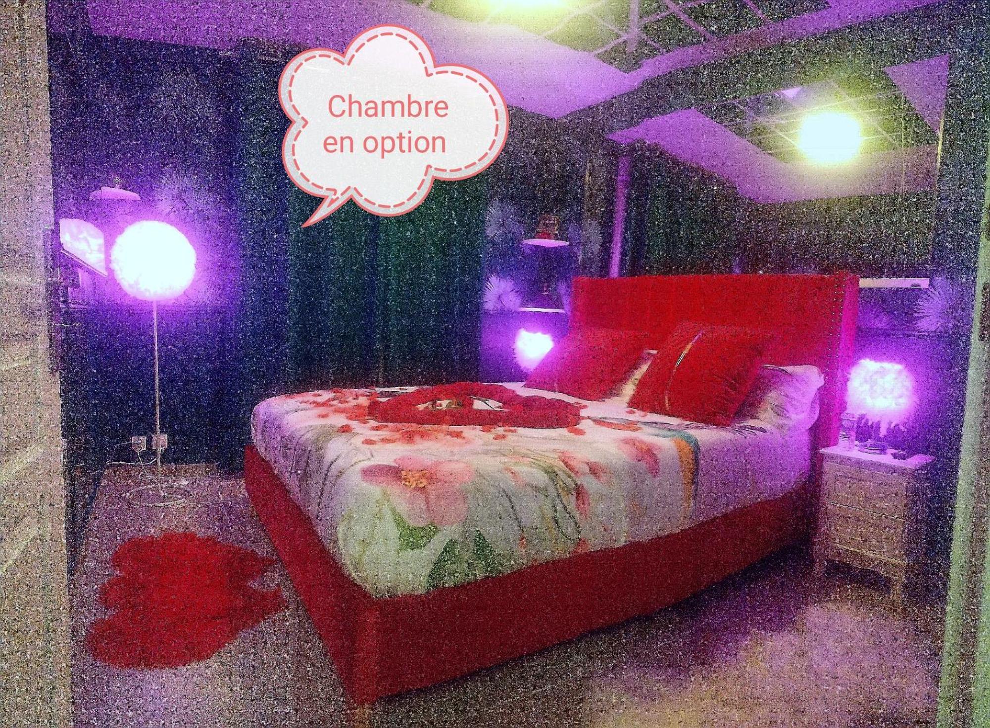 Romantisme Et Glamour 2 Avec Spa , Clim Et Jardin Dijon Dış mekan fotoğraf