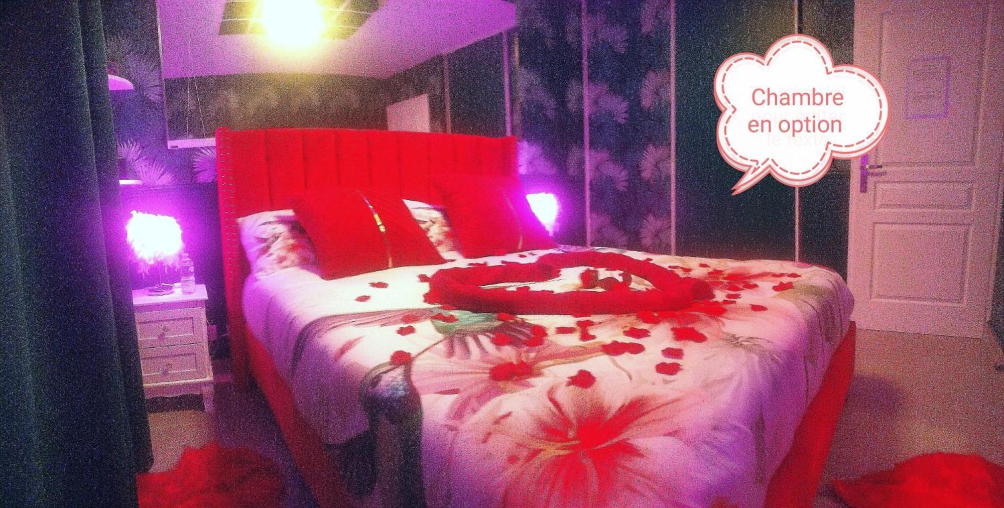 Romantisme Et Glamour 2 Avec Spa , Clim Et Jardin Dijon Dış mekan fotoğraf